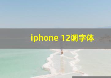 iphone 12调字体